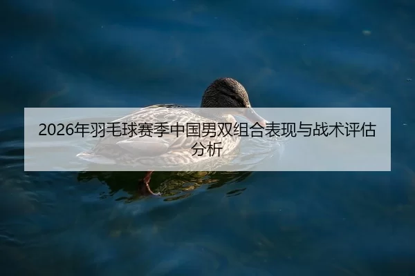 nian-yu-mao-qiu-sai-ji-zhong-guo-nan-shuang-zu-he-biao-xian-yu-zhan-shu-ping-gu-fen-xi-2-165.jpg