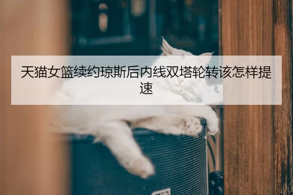 天猫女篮续约琼斯后内线双塔轮转该怎样提速